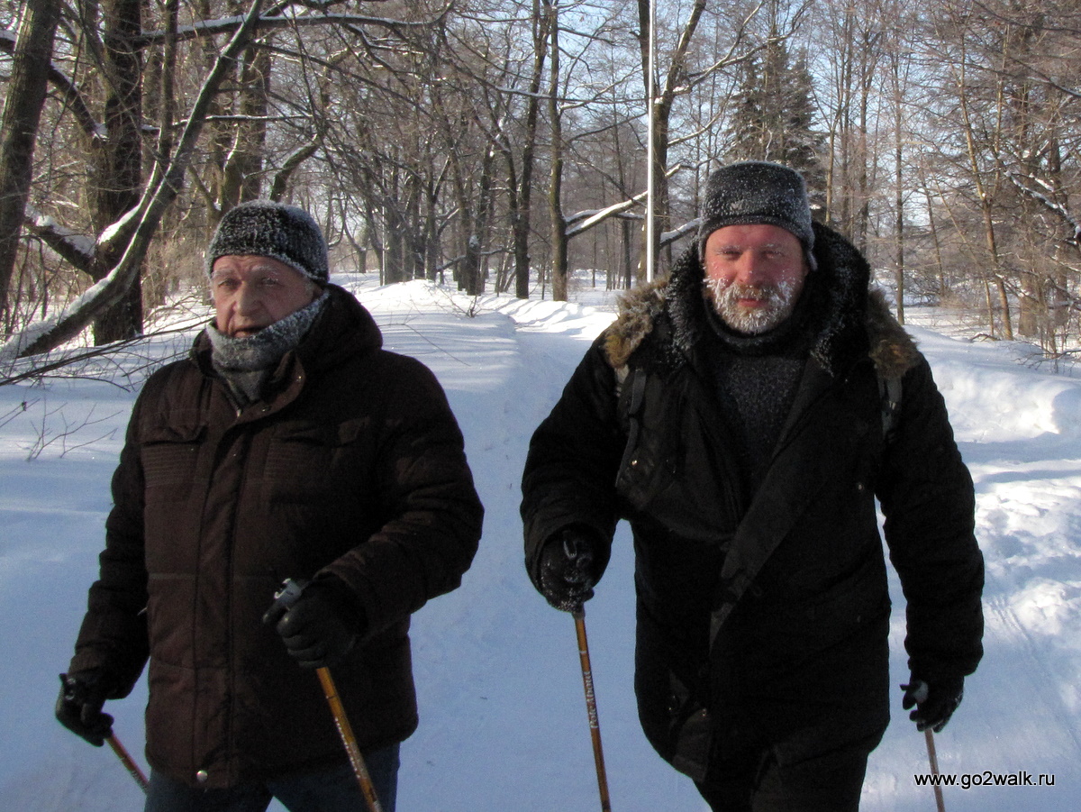 Скандинавская ходьба 20 февраля