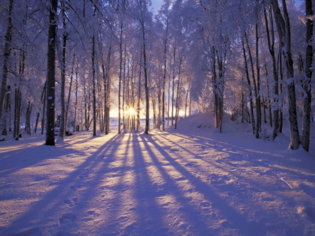 winter-scene-053