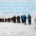 Набираем группы для занятий скандинавской ходьбой в Южно-Приморском и Муринском парках Санкт-Петербурга!