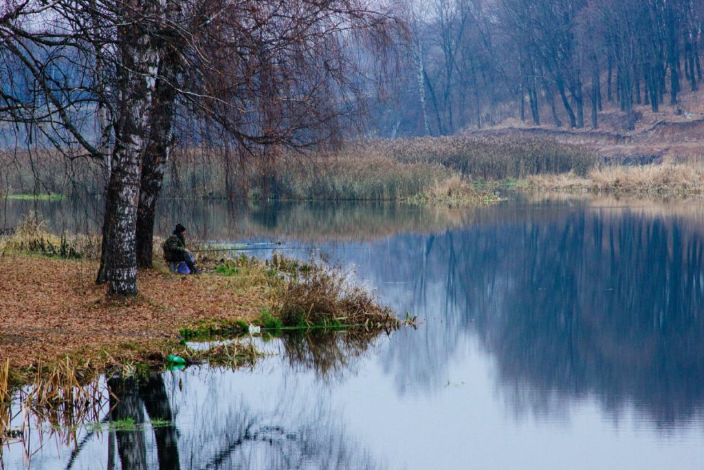 13 ноября 20202 Поход "Сестрорецкое болото, река Сестра, озеро Разлив"15 км